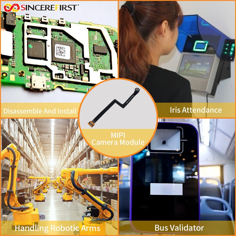 product-800-800 product-800-800